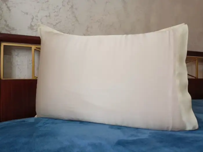 Silk Pillowcase 1 Pc EFHI Beige 